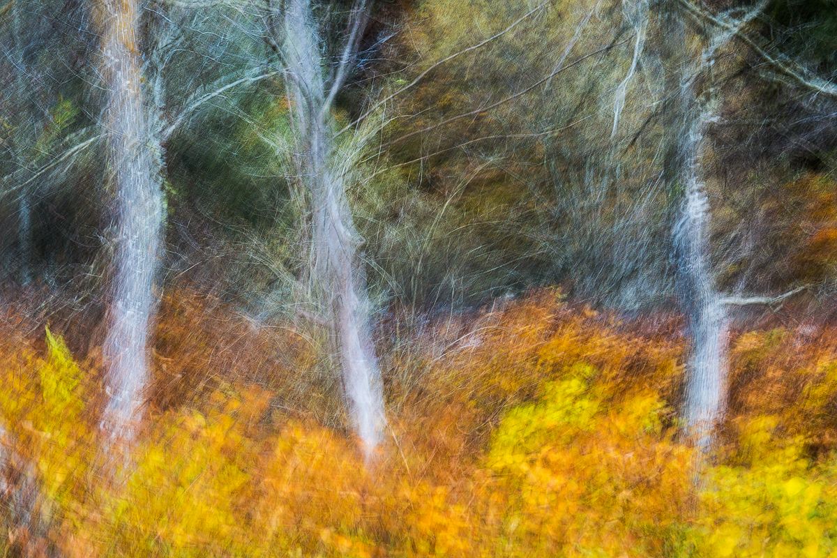 Shape Colours Q2A5335